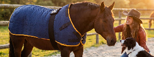 entspanntes Pferd mit equimag Magnetfeldddecke, seiner Pferdebesitzerin und einem Border Collie