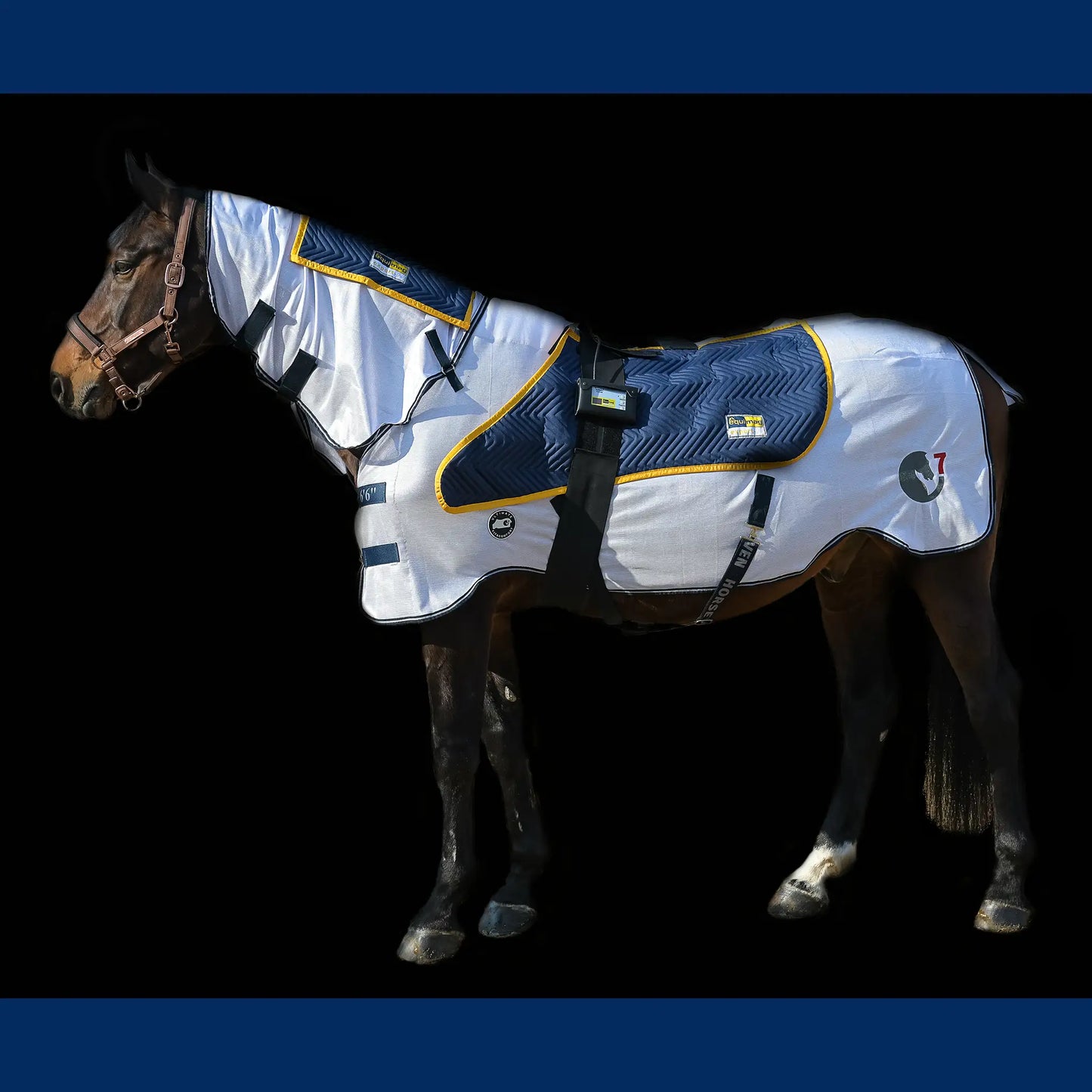 equimag expert Air Komplett-Set – Magnetfeld-System für Pferde
