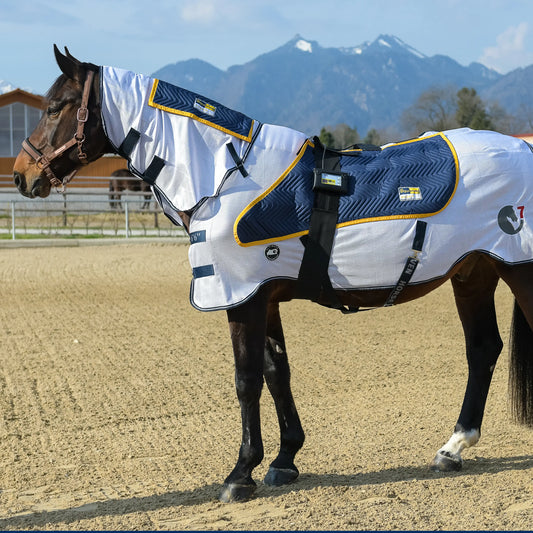 Evolution der Leichtigkeit: Das equimag Air Set