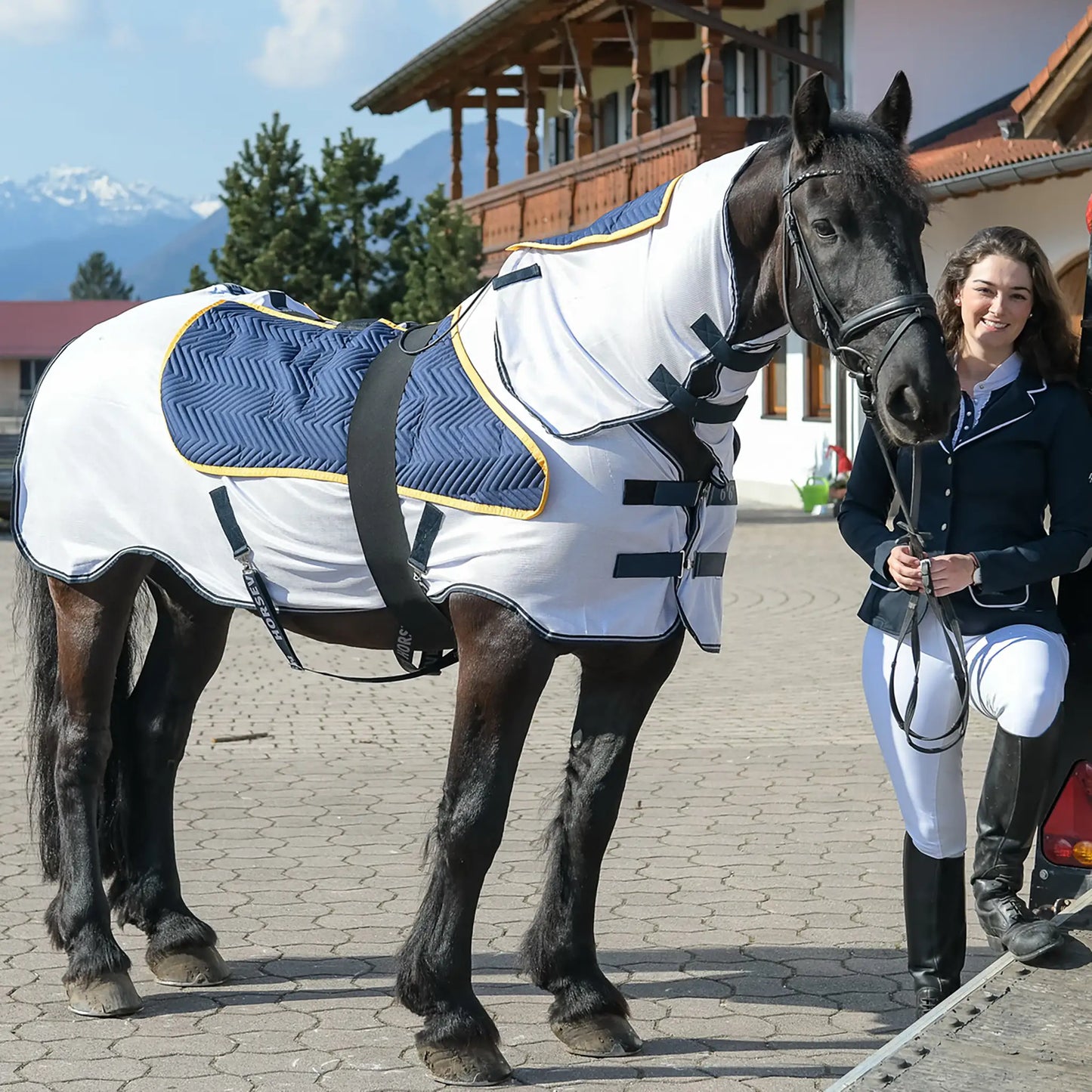 equimag expert Air Komplett-Set – Magnetfeld-System für Pferde