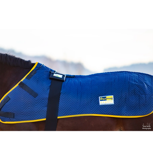 Magnetfelddecke equimag expert auf einem Pferd; Abbildung mit Steuergerät equimag expert