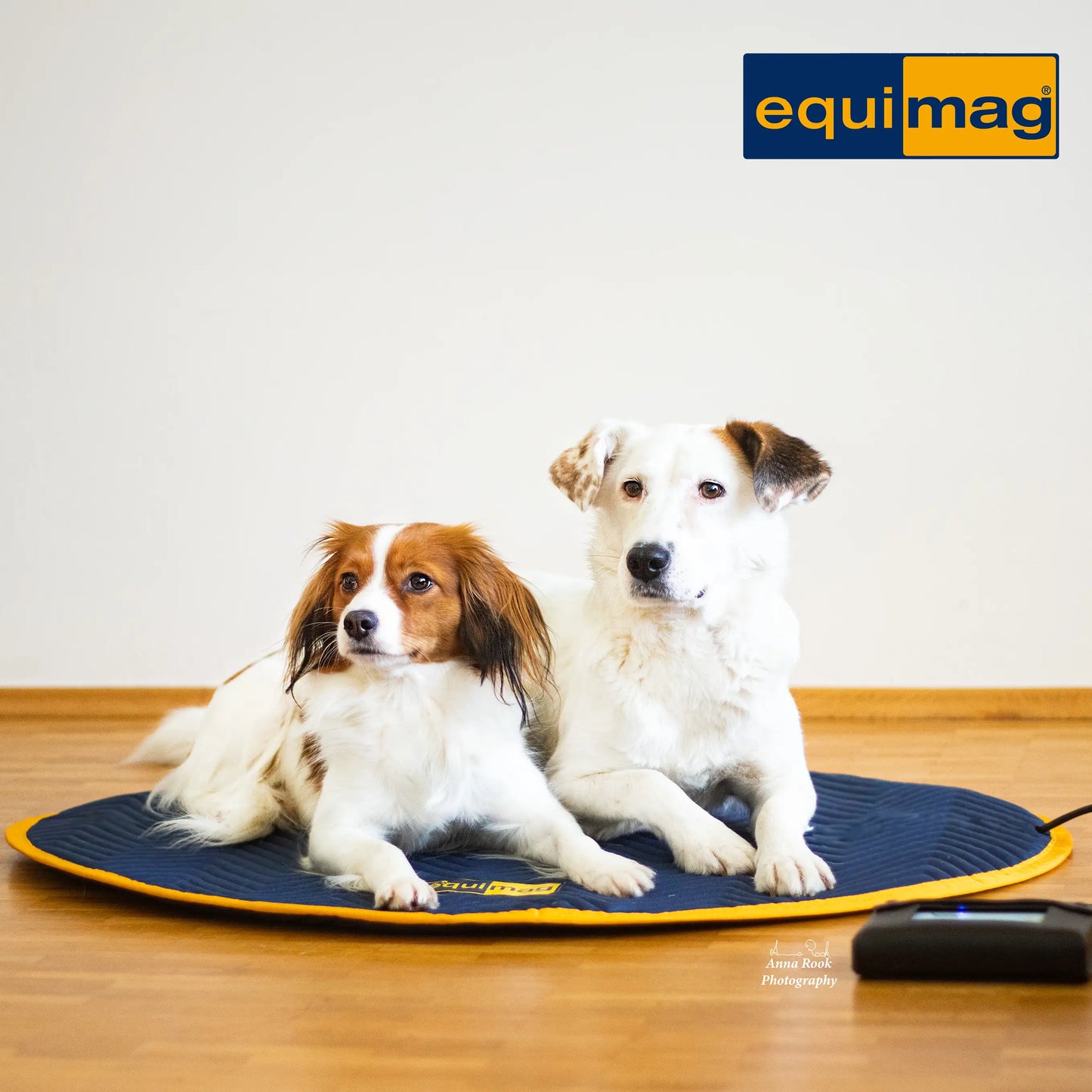 equimag expert Pet-Set - pulsierendes Magnetfeld für Hunde und andere Haustiere