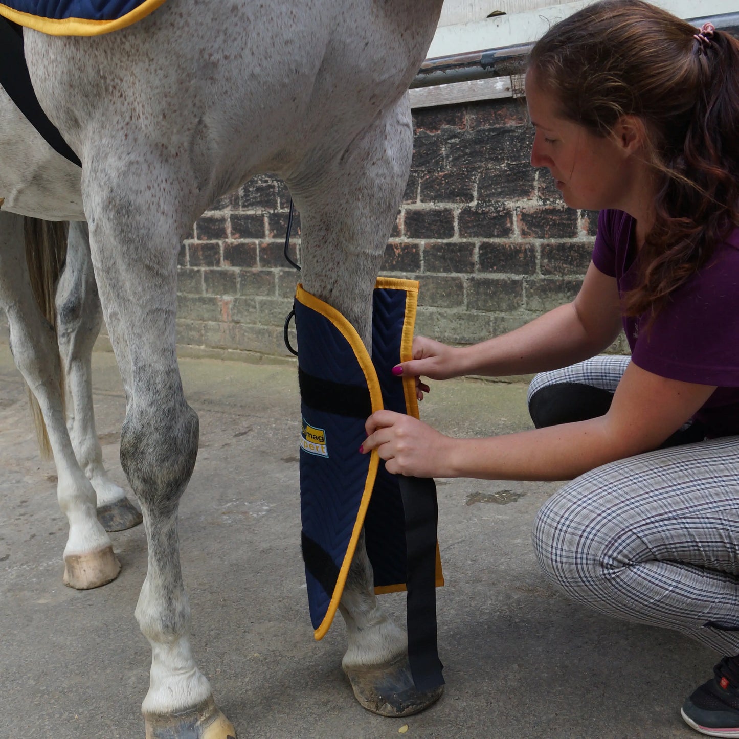 equimag expert Relax-Gamasche