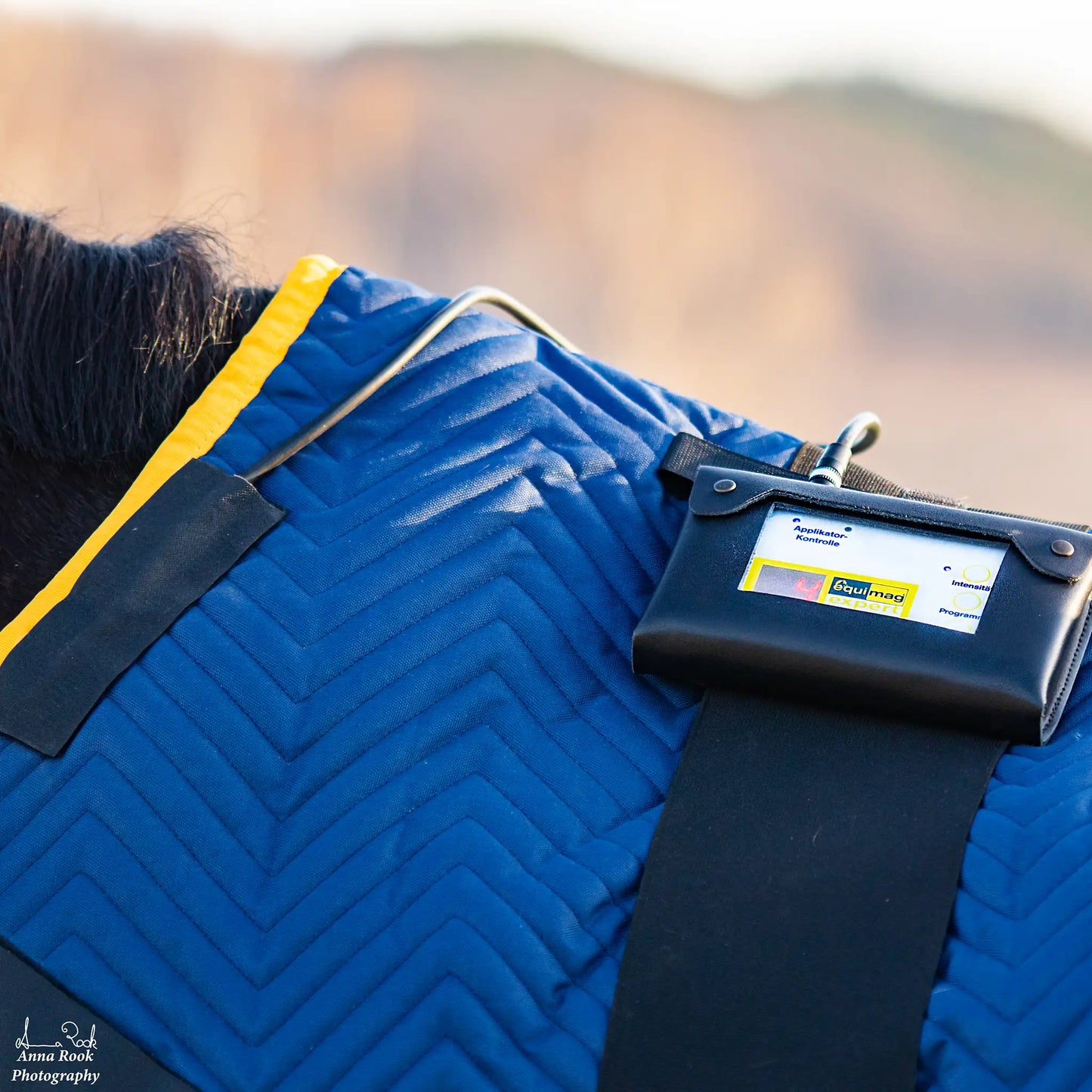 equimag expert Steuergerät – Der sanfte Impulsgeber für Pferde