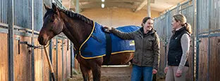 Pferd mit einer equimag Magnetfelddecke in einer Stallgasse. Die Osteopathin berät die Pferdebesitzerin zur Anwendung der Magnetfelddecke