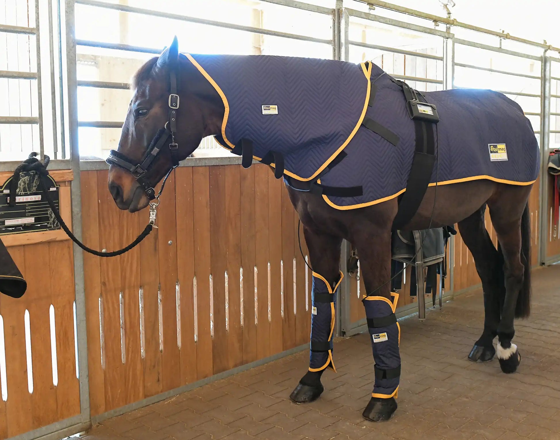 die equimag expert Profi-Ausstattung mit Magnetfelddecke, Halsteil und zwei Gamaschen auf einem Pferd, das in der Stallgasse steht.