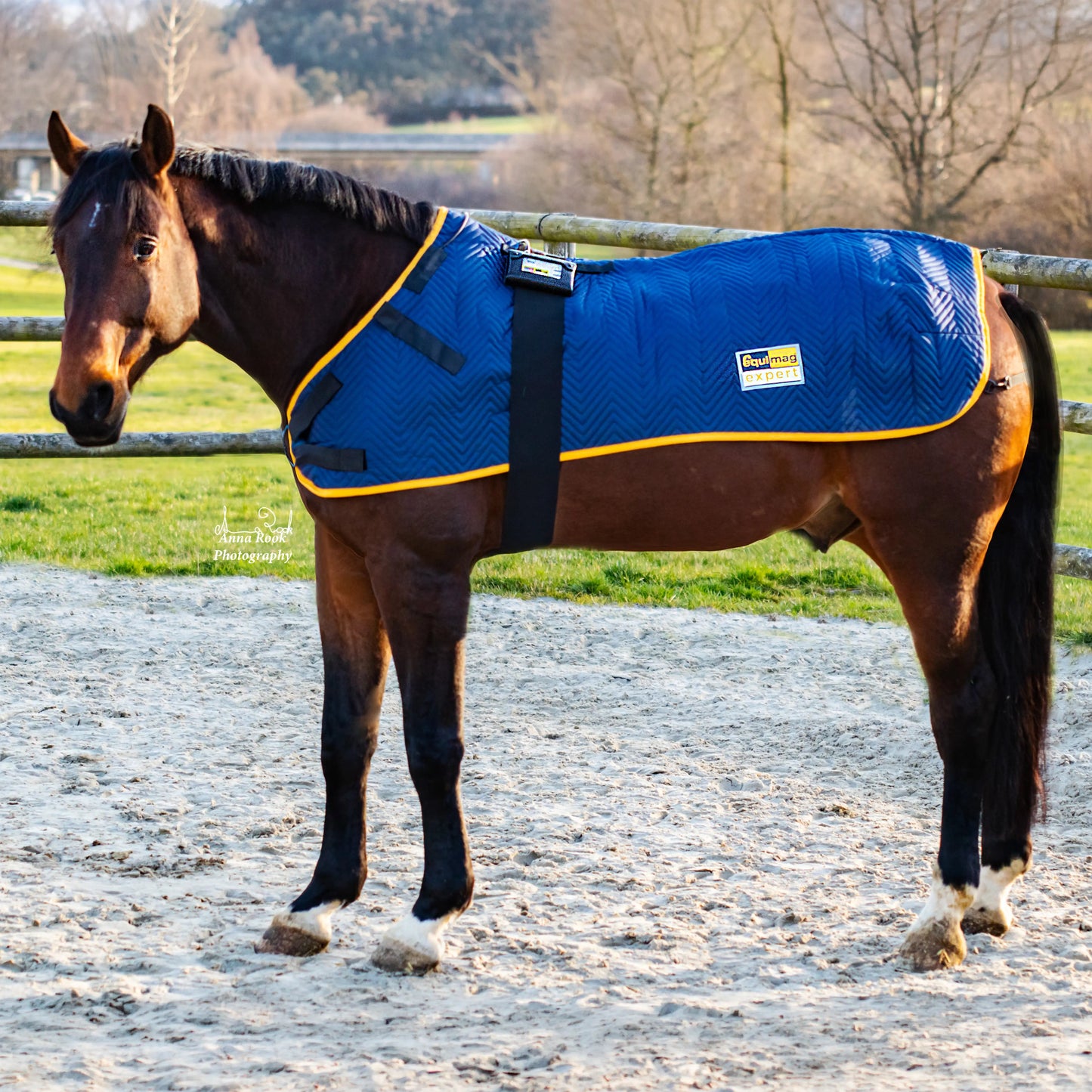Die Magnetfelddecke equimag balance auf einem Pferd auf dem Paddock