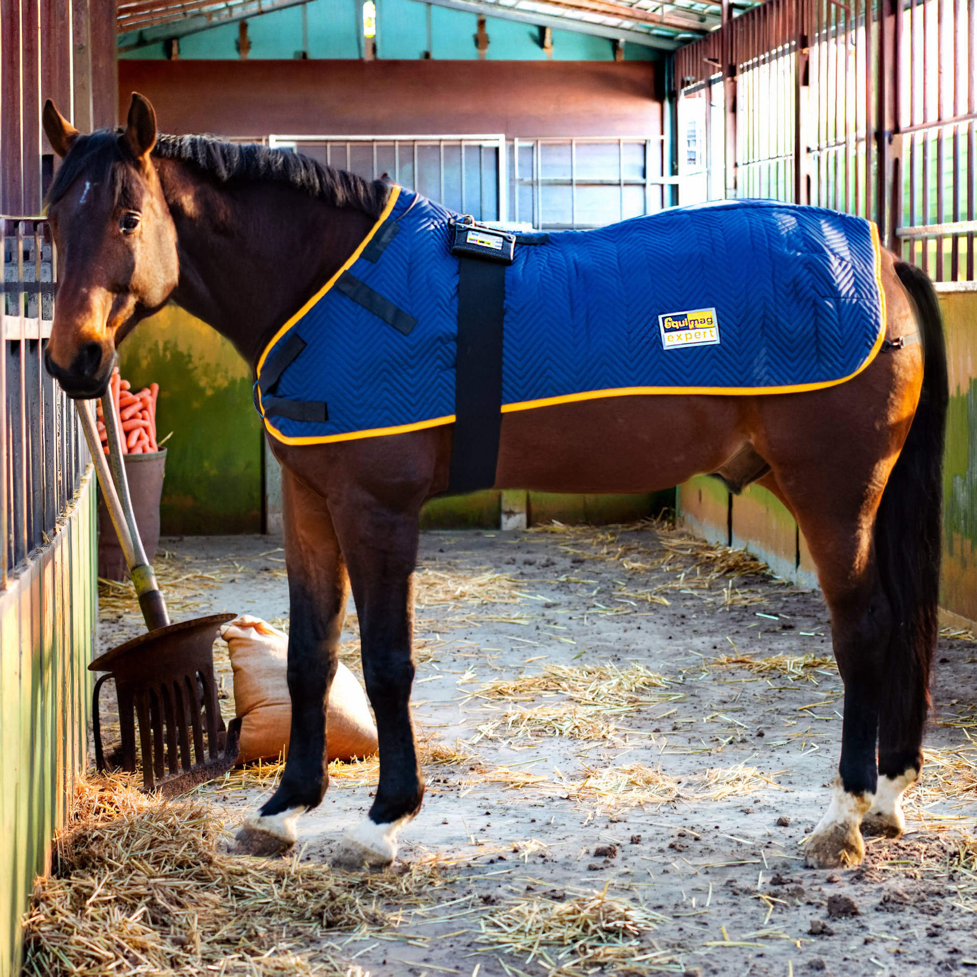 Magnetfelddecke equimag balance auf einem Pferd in der Stallgasse