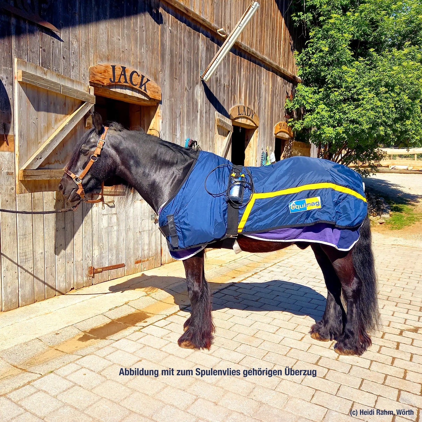 Inlay (Spulenvlies) für zweiteilige equimag Magnetfelddecken (Modelle vor 2018 mit Überzug)